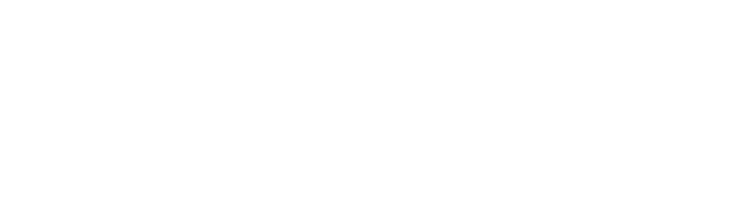 the RISK mini mascot: a raccoon